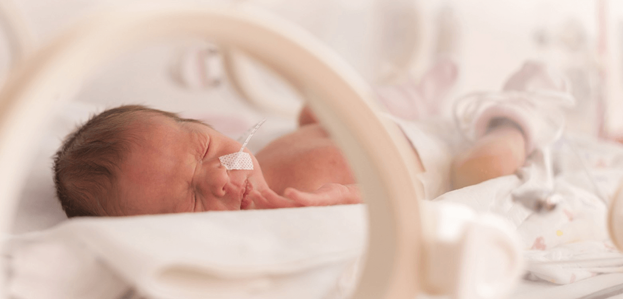 Offrir un mobile de couveuse aux bébés prématurés