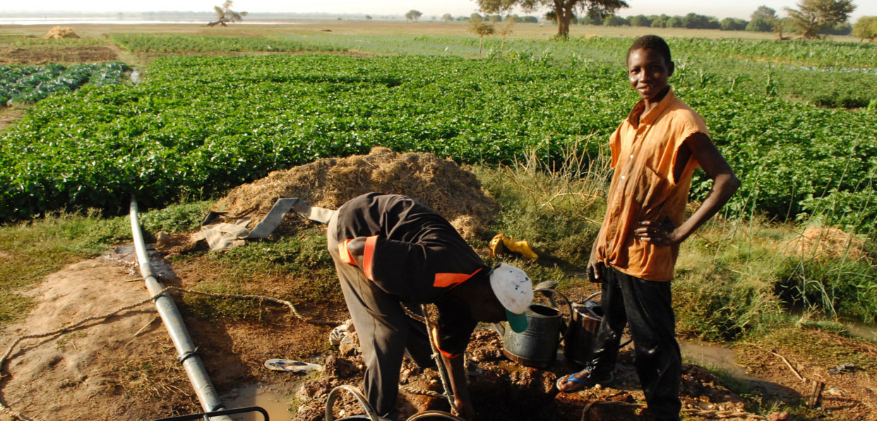 Financer le projet de maraîchage irrigué au Burkina Faso